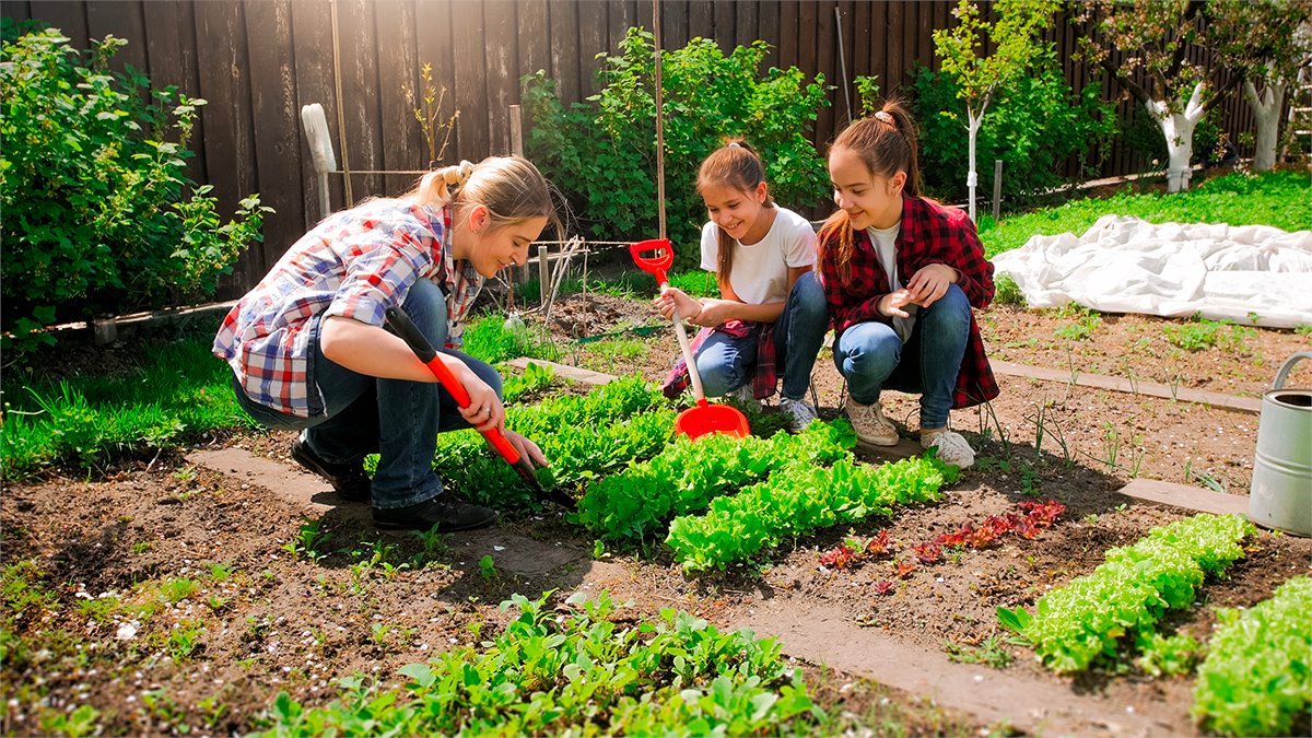 Calendrier du jardin