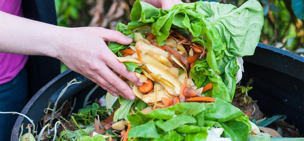 Comment faire du compost à la maison : tout ce qu'il faut savoir