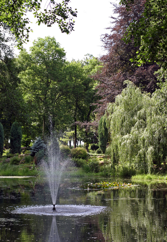 fontaine jardin Paysagiste Aquatique