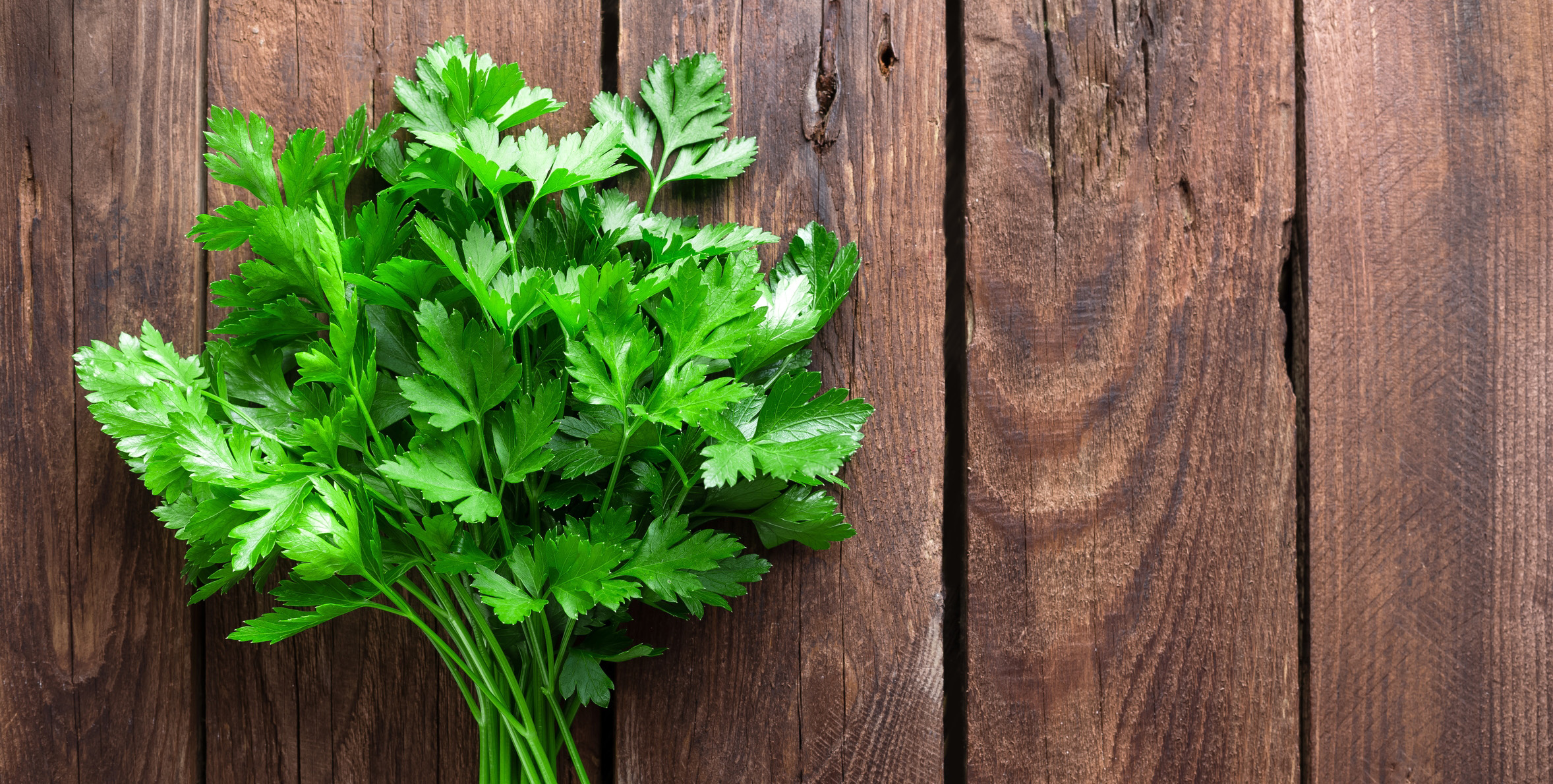 herbes aromatiques faciles