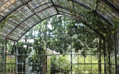 Serres adossées en verre
