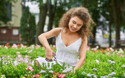 mode et décoration jardin