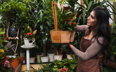 Embellissez votre bijouterie avec un charmant jardin de fleurs