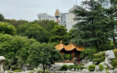 techniques modernes d'élagage