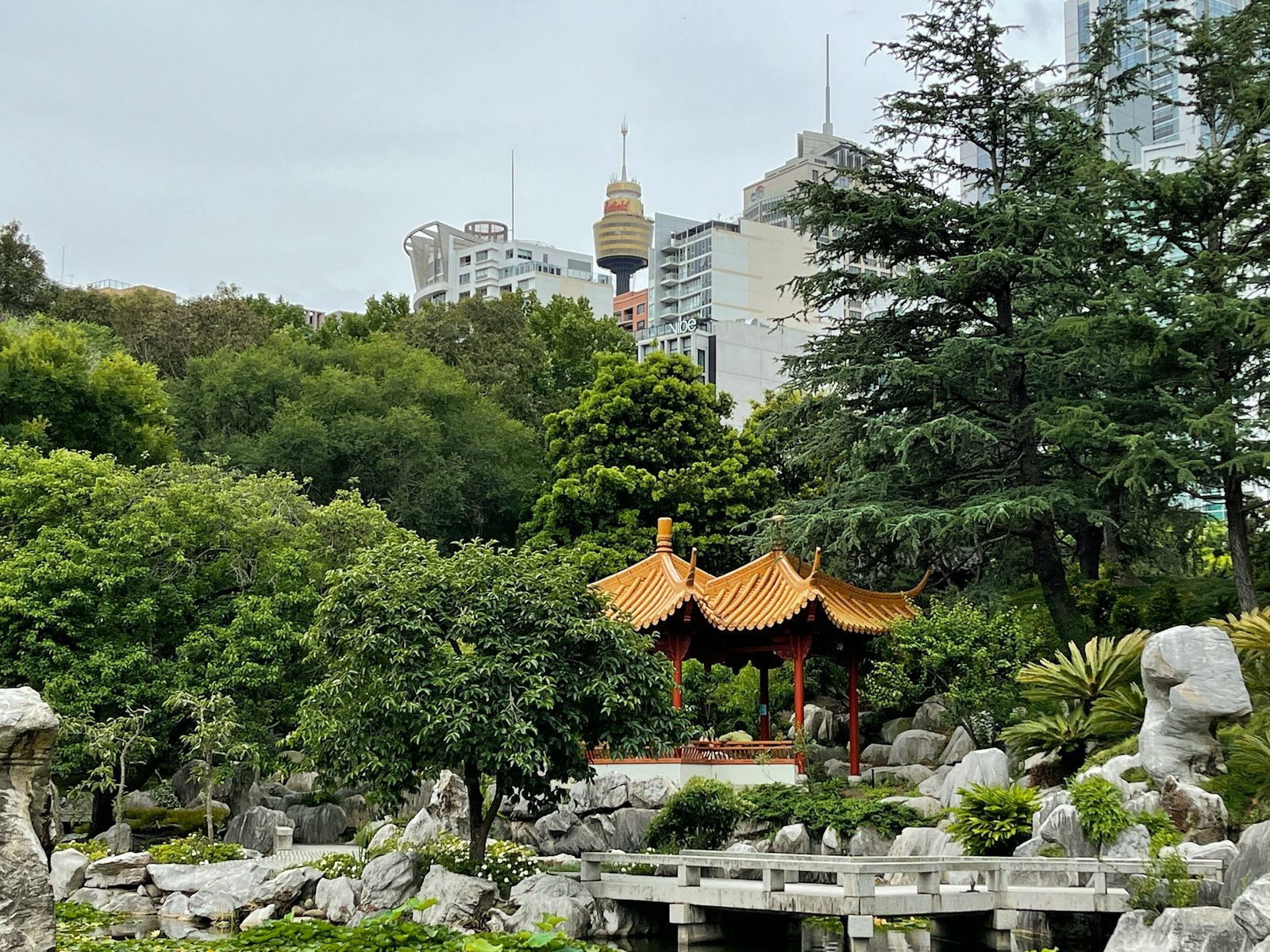 techniques modernes d'élagage