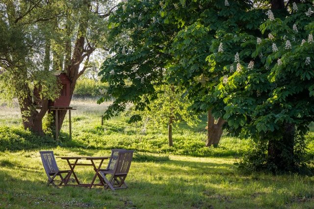 Conseils pour donner un aspect original à son jardin