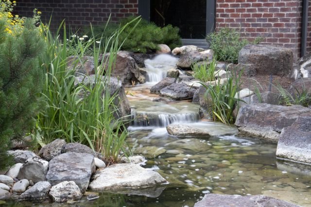 Bassin jardin robuste pour un extérieur durable